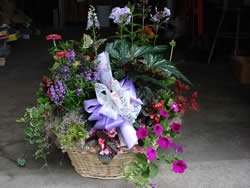 DSC00041